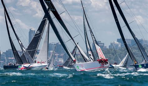 Rolex yacht race